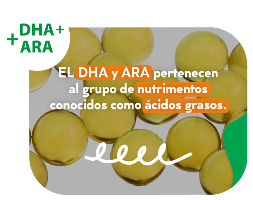 ¿Que son y para qué sirven el DHA y ARA en las fórmulas infantiles?