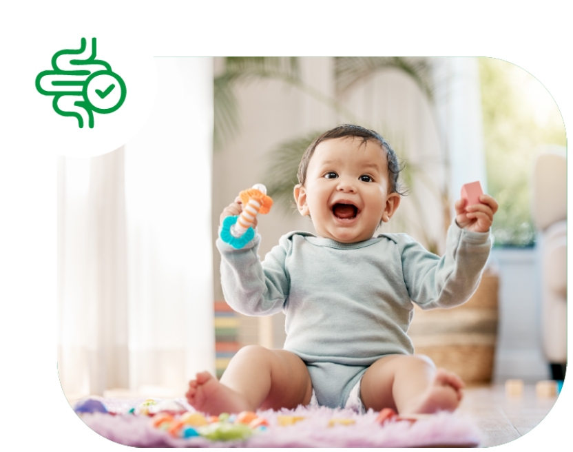 Proteínas de fácil digestión